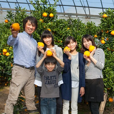 【訳あり・優品】野菜ソムリエが育てた九州・大分県杵築産「せとか」約2.5kg(5~16玉)