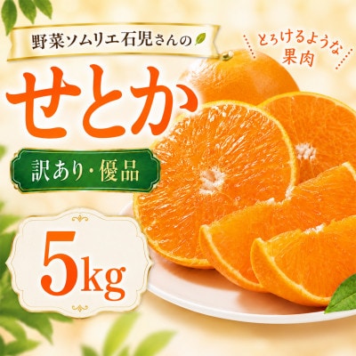 【訳あり・優品】野菜ソムリエが育てた九州・大分県杵築産「せとか」5kg