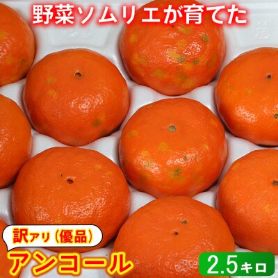 【訳あり・優品】野菜ソムリエが育てた九州・大分県杵築産「アンコール」2.5kg(6～16玉)