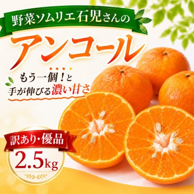 【訳あり・優品】野菜ソムリエが育てた九州・大分県杵築産「アンコール」2.5kg(6～16玉)