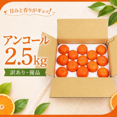 【訳あり・優品】野菜ソムリエが育てた九州・大分県杵築産「アンコール」2.5kg(6～16玉)