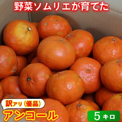 【訳あり・優品】野菜ソムリエが育てた九州・大分県杵築産「アンコール」5kg