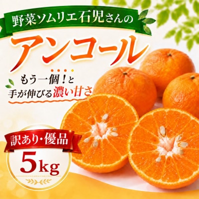 【訳あり・優品】野菜ソムリエが育てた九州・大分県杵築産「アンコール」5kg