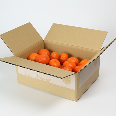 【訳あり・優品】野菜ソムリエが育てた九州・大分県杵築産「アンコール」5kg