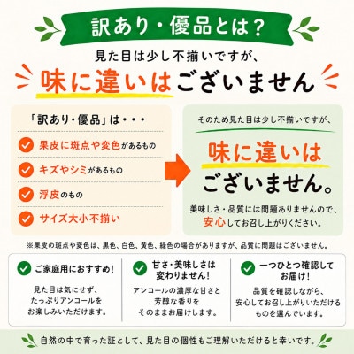 【訳あり・優品】野菜ソムリエが育てた九州・大分県杵築産「アンコール」5kg