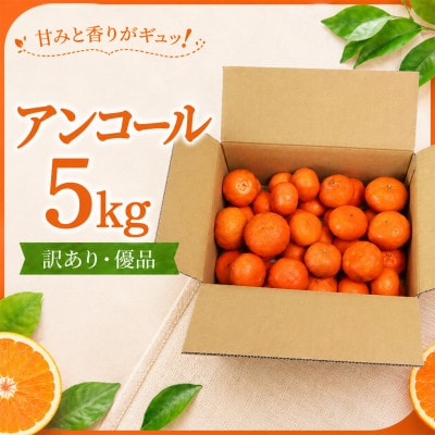 【訳あり・優品】野菜ソムリエが育てた九州・大分県杵築産「アンコール」5kg