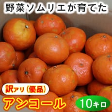 【訳あり・優品】野菜ソムリエが育てた九州・大分県杵築産「アンコール」約10kg