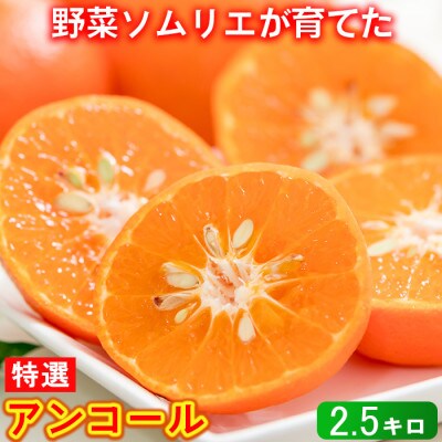 野菜ソムリエが育てた九州・大分県杵築産「特選 アンコール」2.5kg(6～16玉)