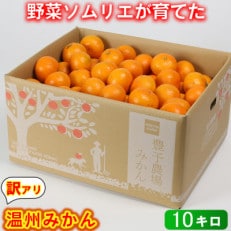 【訳あり規格外品】野菜ソムリエが育てた九州・大分県杵築産「温州みかん」10kg(サイズ混合不揃い)
