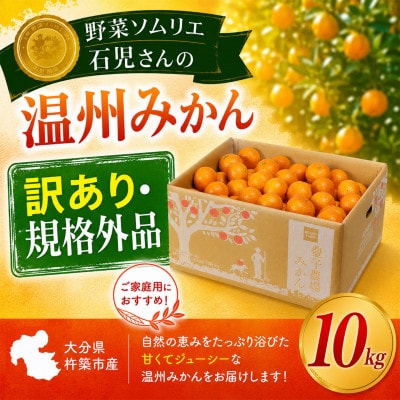 【訳あり規格外品】野菜ソムリエが育てた九州・大分県杵築産「温州みかん」10kg(サイズ混合不揃い)