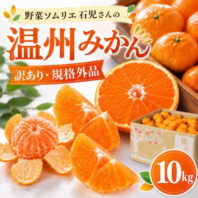 【訳あり規格外品】野菜ソムリエが育てた九州・大分県杵築産「温州みかん」10kg(サイズ混合不揃い)