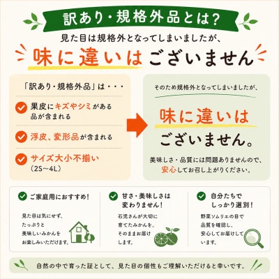 【訳あり規格外品】野菜ソムリエが育てた九州・大分県杵築産「温州みかん」10kg(サイズ混合不揃い)