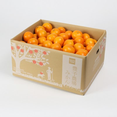 【訳あり規格外品】野菜ソムリエが育てた九州・大分県杵築産「温州みかん」10kg(サイズ混合不揃い)