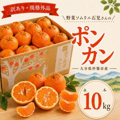 【訳あり・規格外品】野菜ソムリエが育てた九州・大分県杵築産「ポンカン」10kg(サイズ混合不揃い)
