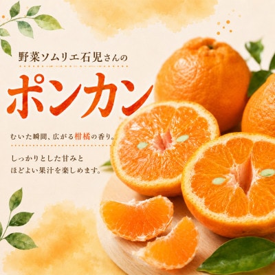 【訳あり・規格外品】野菜ソムリエが育てた九州・大分県杵築産「ポンカン」10kg(サイズ混合不揃い)