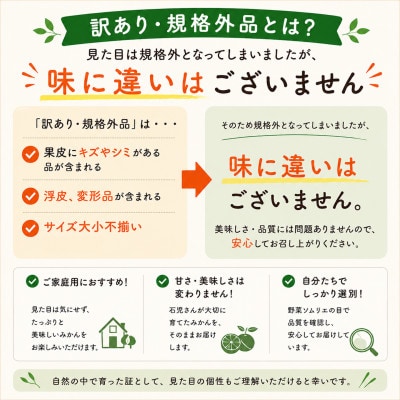 【訳あり・規格外品】野菜ソムリエが育てた九州・大分県杵築産「ポンカン」10kg(サイズ混合不揃い)