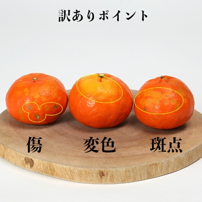 【訳あり・規格外品】野菜ソムリエが育てた九州・大分県杵築産「アンコール」3.5kg(10～30玉)