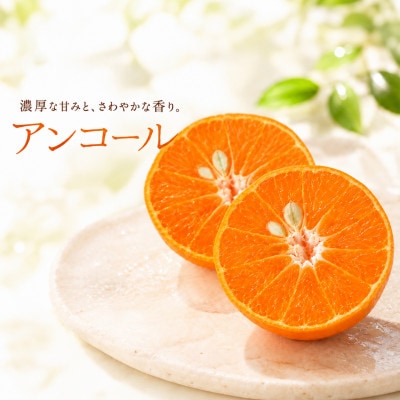 【訳あり・規格外品】野菜ソムリエが育てた九州・大分県杵築産「アンコール」3.5kg(10～30玉)