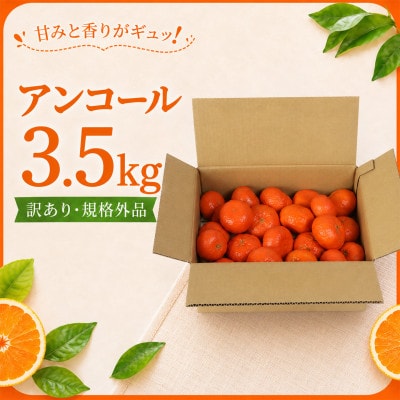 【訳あり・規格外品】野菜ソムリエが育てた九州・大分県杵築産「アンコール」3.5kg(10～30玉)