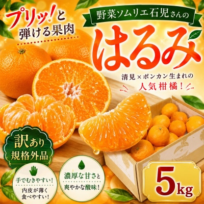 【訳あり・規格外品】野菜ソムリエが育てた九州・大分県杵築産「はるみ」5kg(サイズ混合不揃い)
