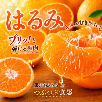 【訳あり・規格外品】野菜ソムリエが育てた九州・大分県杵築産「はるみ」5kg(サイズ混合不揃い)