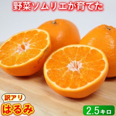 訳あり・優品　野菜ソムリエが育てた九州・大分県杵築産「はるみ」2.5kg