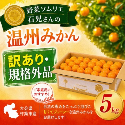 [訳あり規格外品]野菜ソムリエが育てた九州・大分県杵築産「温州みかん」5kg(サイズ混合不揃い)
