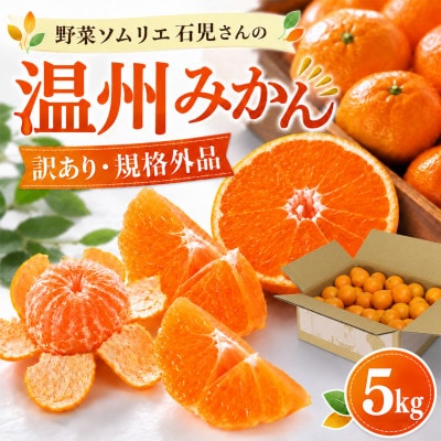 [訳あり規格外品]野菜ソムリエが育てた九州・大分県杵築産「温州みかん」5kg(サイズ混合不揃い)