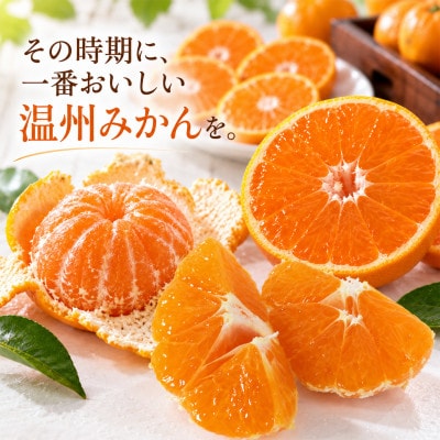 [訳あり規格外品]野菜ソムリエが育てた九州・大分県杵築産「温州みかん」5kg(サイズ混合不揃い)