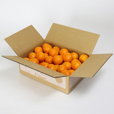 [訳あり規格外品]野菜ソムリエが育てた九州・大分県杵築産「温州みかん」5kg(サイズ混合不揃い)