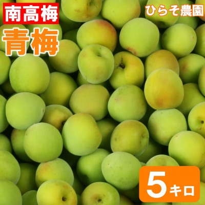 ひらそ農園の青梅 (南高梅)　約5kg