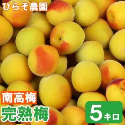 ひらそ農園の完熟梅 (南高梅)　約5kg