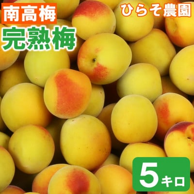 ひらそ農園の完熟梅 (南高梅)　約5kg