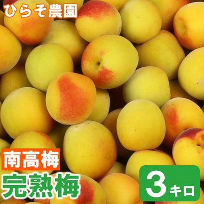 ひらそ農園の完熟梅 (南高梅)　約3kg