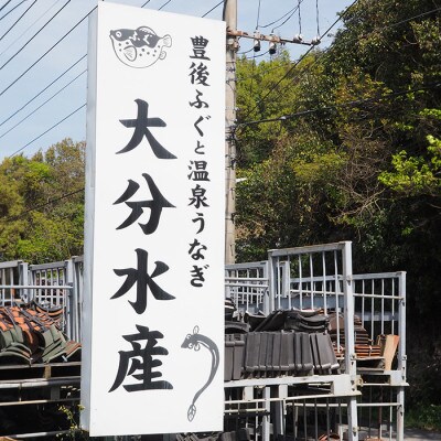 大分水産の豊後とらふぐ刺身セット3～4人前(冷凍)