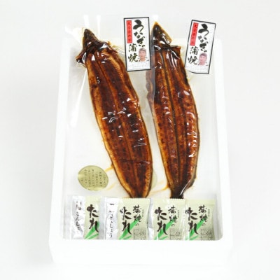 温泉うなぎ蒲焼 2尾(180g以上サイズ) 国産うなぎ