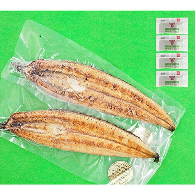 大分水産・温泉うなぎ白焼(特大) 2尾