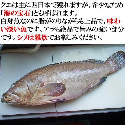豊後とらふぐ鍋&高級魚くえ鍋の味比べセット2人前(冷凍)