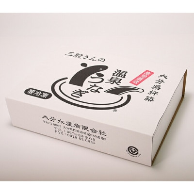 温泉うなぎ蒲焼 3尾(160g以上サイズ) 国産うなぎ