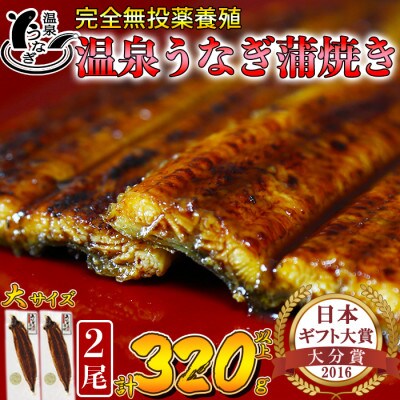 温泉うなぎ蒲焼 2尾(160g以上サイズ) 国産うなぎ