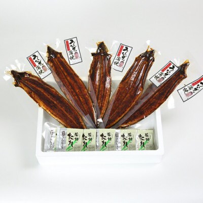 温泉うなぎ蒲焼 5尾(180g以上サイズ) 国産うなぎ