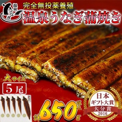 温泉うなぎ蒲焼 5尾(130g以上サイズ)