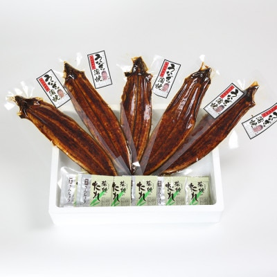 温泉うなぎ蒲焼 5尾(130g以上サイズ)