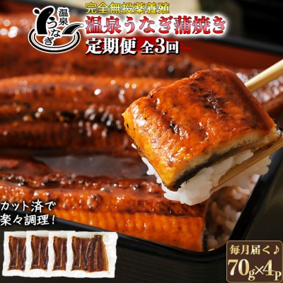 【毎月定期便】大分水産の温泉うなぎ蒲焼(カット)70g×4全3回