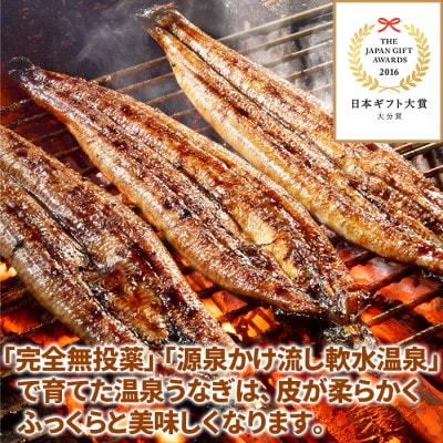 【毎月定期便】大分水産の温泉うなぎ蒲焼(カット)70g×4全3回