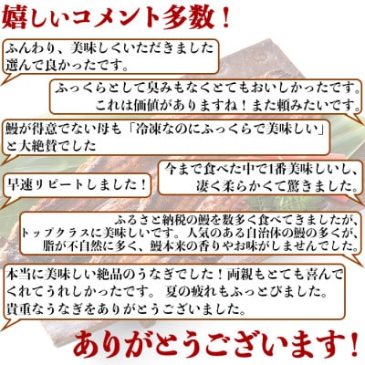 【毎月定期便】大分水産の温泉うなぎ蒲焼(カット)70g×4全3回