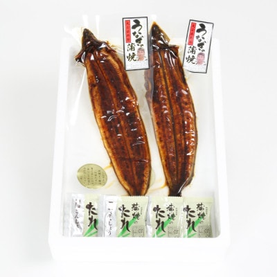 【毎月定期便】温泉うなぎ蒲焼 2尾(約160gサイズ) 国産うなぎ全3回