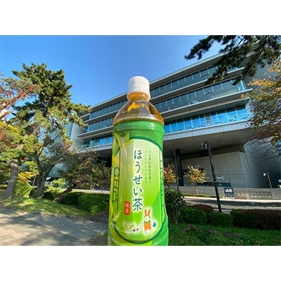 大分県杵築市産茶葉使用 ほうせい茶 500ml×24本