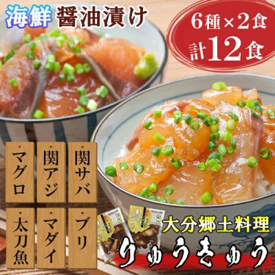 豊後絆屋 大分郷土料理りゅうきゅう漬けセット(6種×2食)