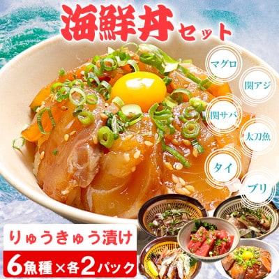 豊後絆屋 海鮮丼[りゅうきゅう漬け] 6種(本マグロ・関あじ・関さば・太刀魚・真鯛・ぶり) 各2食